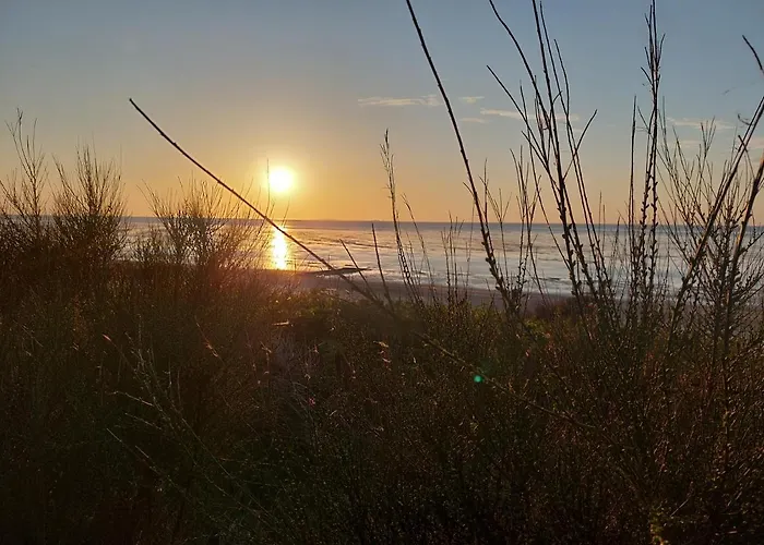 Nordseeglueck